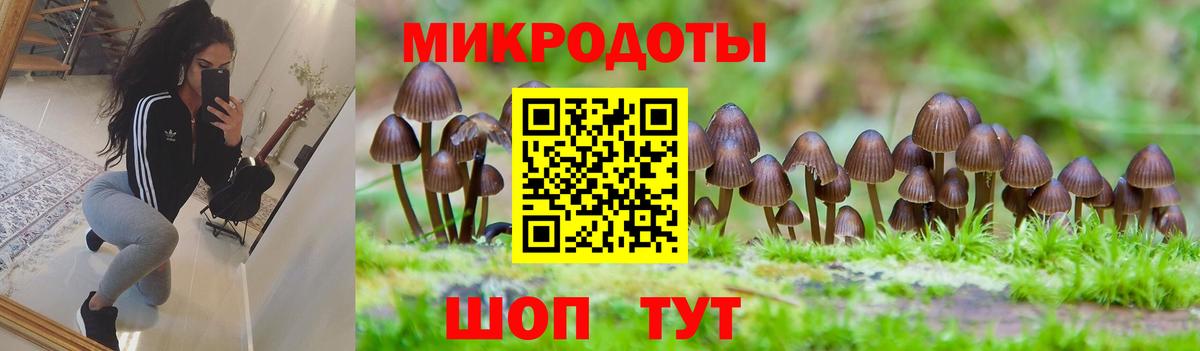 Галлюциногенные грибы Cubensis Щёлково